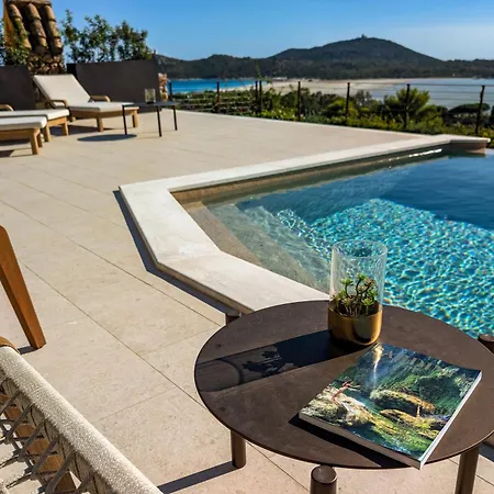 Perdas וילסימיוס