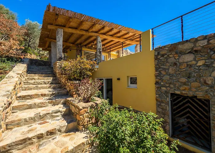 Perdas * 빌라시미우스